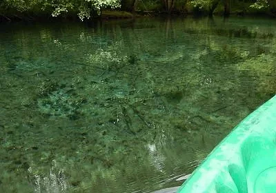 re_surgences_de_condac_en_canoe_charente.jpg
