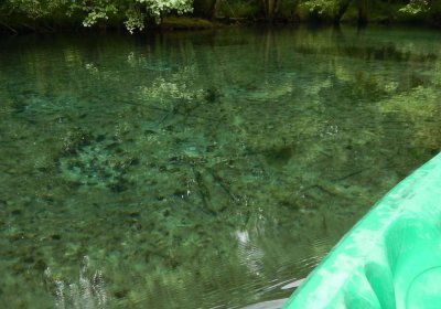 re_surgences_de_condac_en_canoe_charente.jpg